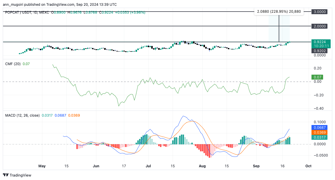 Top Analyst Predicts Popcat Price If Market Cap Hit $2B